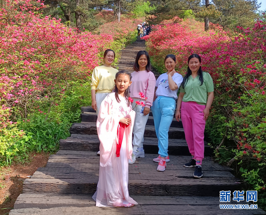五一假期 湖北麻城龜峰山風景區杜鵑花海醉遊人