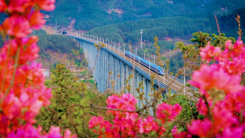 動車穿越大別山 鐵路長廊美如畫