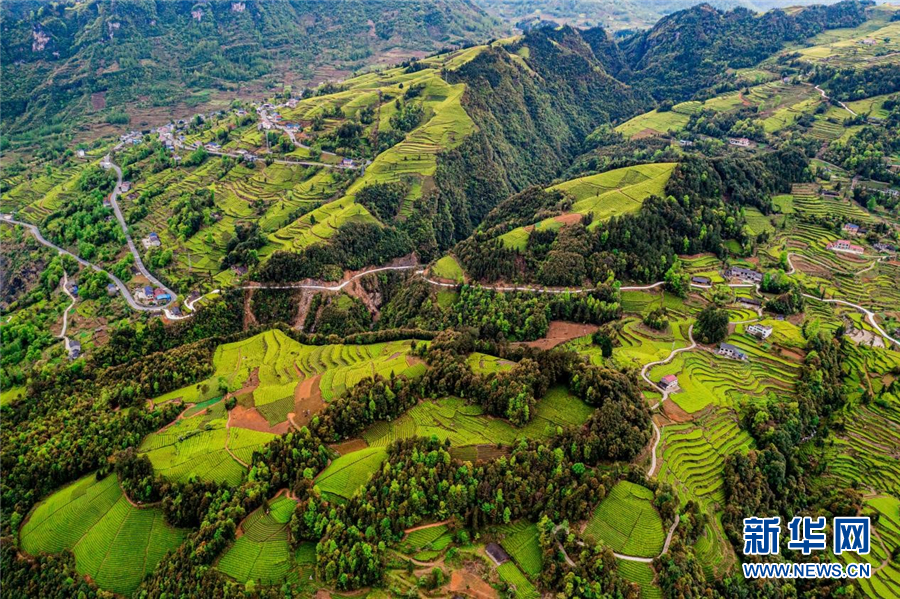 鄂西山區梯田景觀獨具特色