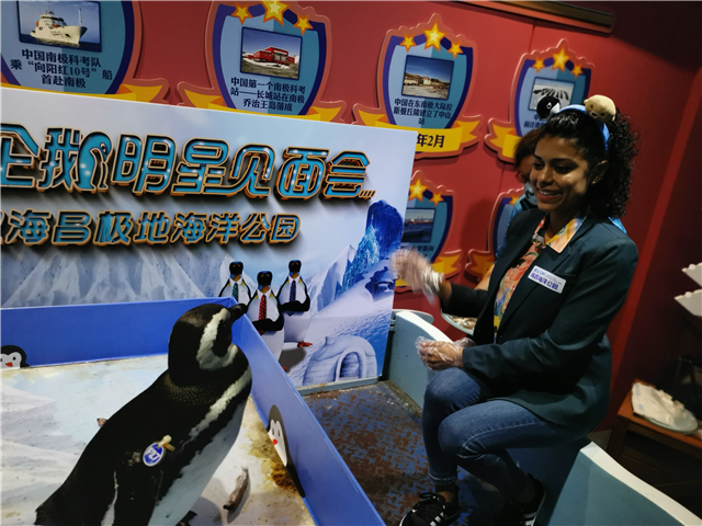 看“水下變臉” 抱萌寵喂食 外國網紅與極地動物親密接觸_fororder_圖片3