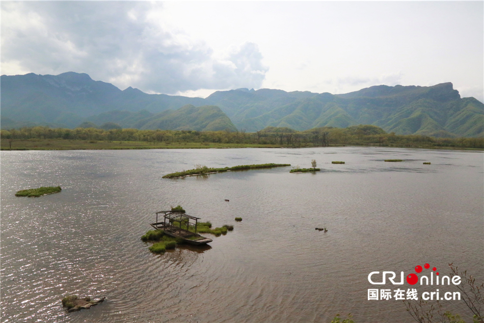 【壯麗70年·奮鬥新時代】“雲間濕地“——神農架大九湖