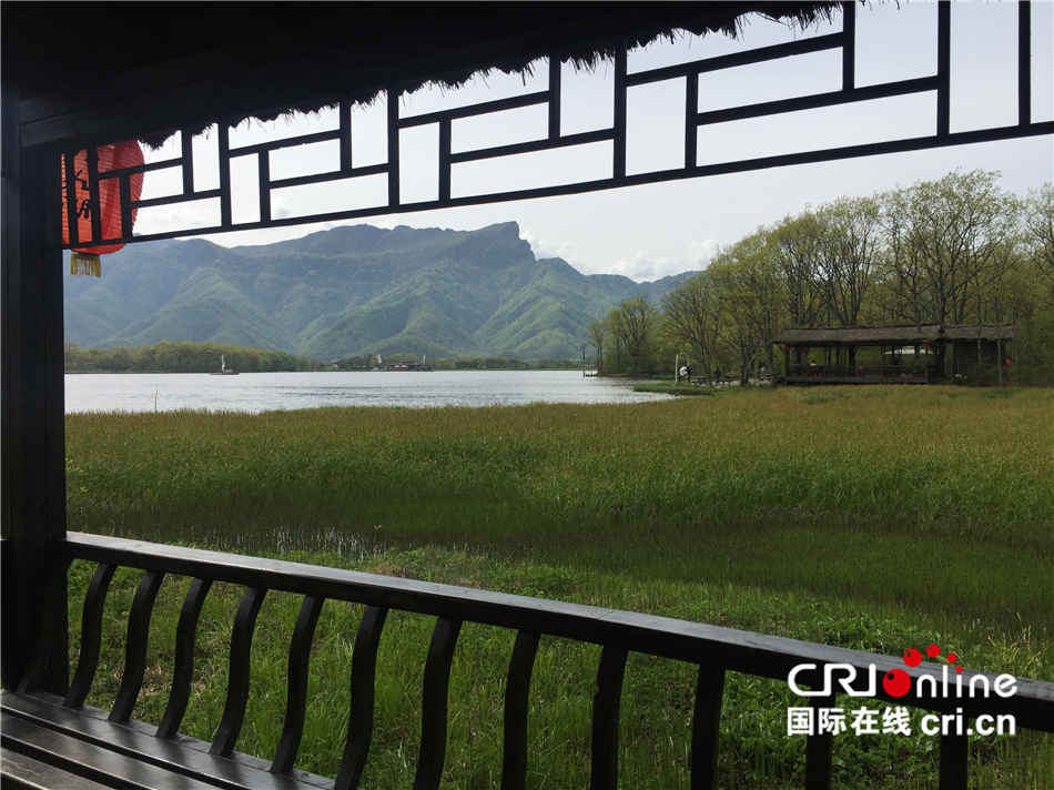 【壯麗70年·奮鬥新時代】“雲間濕地“——神農架大九湖