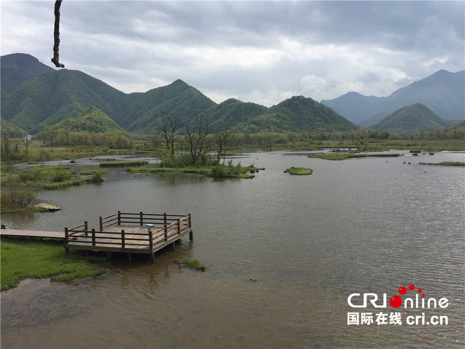 【壯麗70年·奮鬥新時代】“雲間濕地“——神農架大九湖