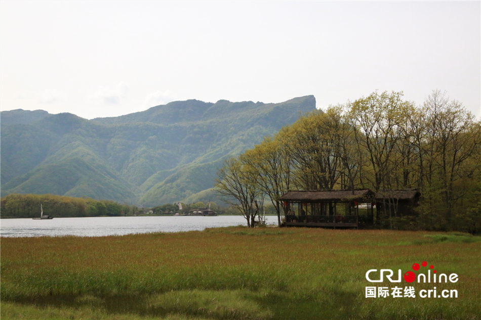 【壯麗70年·奮鬥新時代】“雲間濕地“——神農架大九湖