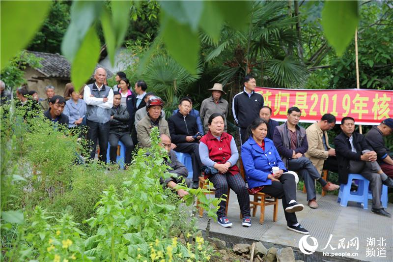 湖北秭歸：技術培訓會開到果園裏為果農解技術難題