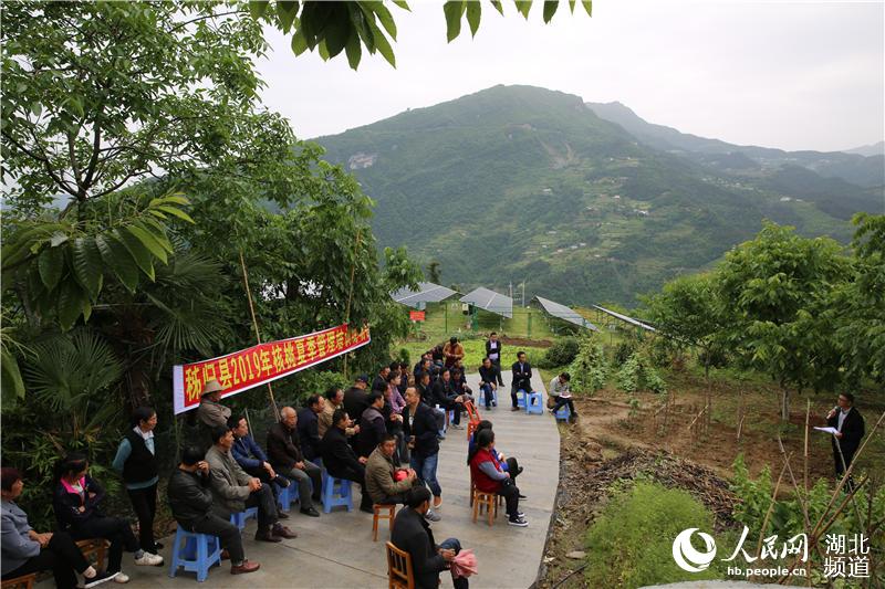 湖北秭歸：技術培訓會開到果園裏為果農解技術難題