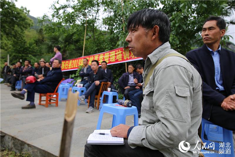湖北秭歸：技術培訓會開到果園裏為果農解技術難題