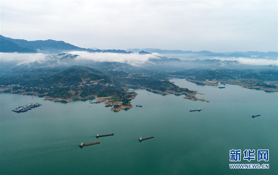 生態屏障“護航”三峽