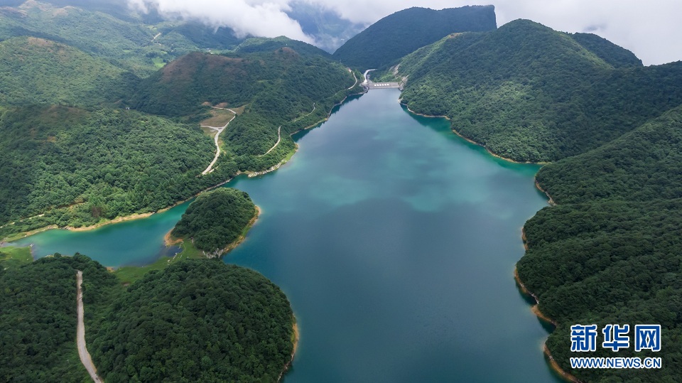 大山深處的“綠色水庫”