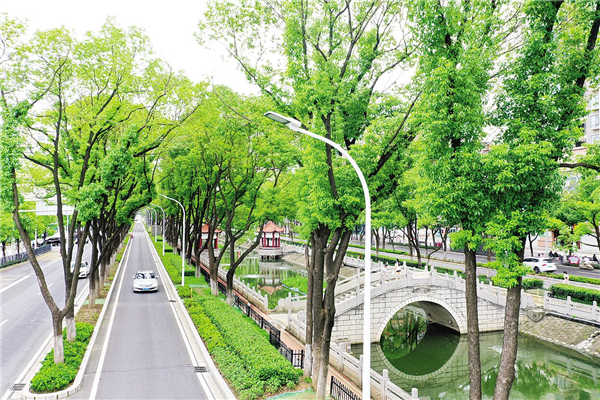 “武漢最美林蔭路”增至20條_fororder_01