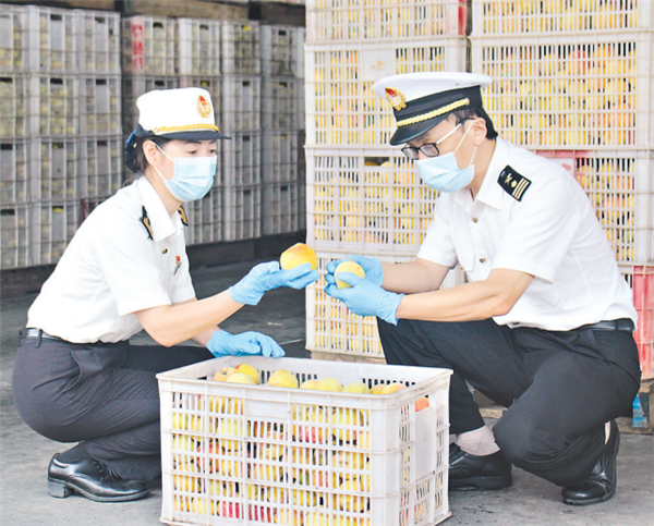 湖北黃桃罐頭香飄海外 出口訂單成倍增長_fororder_000