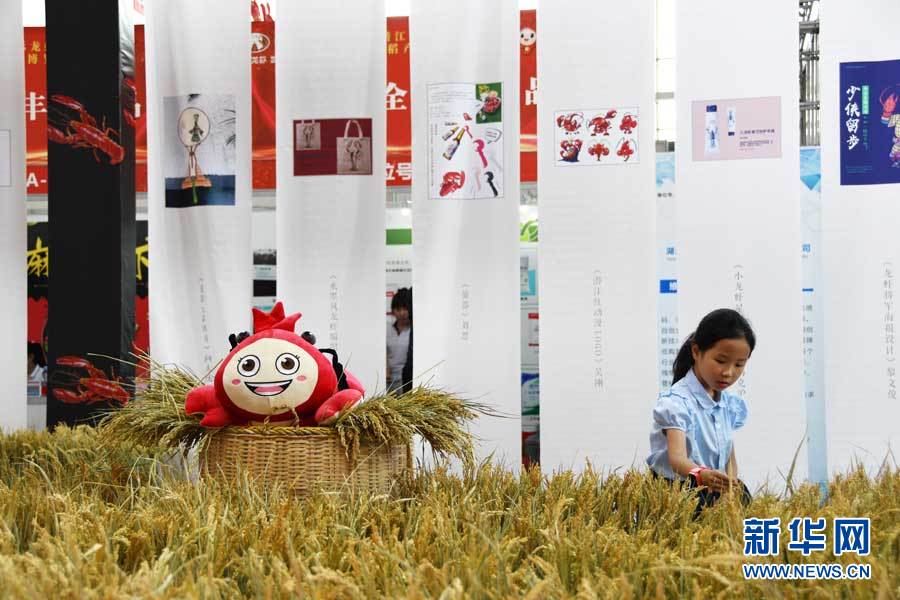 潛江：龍蝦節展館美食多 八方遊客飽口福