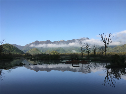 【急稿】【湖北】【CRI原創】湖北神農架景區2019旅遊推介會在上海舉行