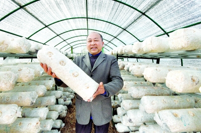 湖北香菇醬每日百噸從陽邏港出海