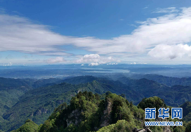 初夏武當 半壁丹崖半翠微