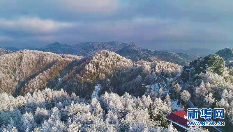 立冬初雪扮靚鄂西萬畝林海
