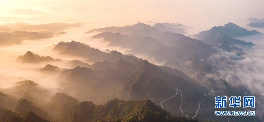 湖北來鳳：山村冬晨雲海蒼茫