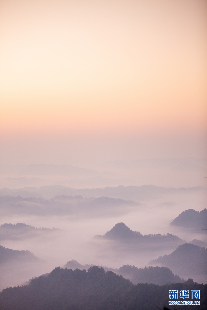 湖北來鳳：山村冬晨雲海蒼茫