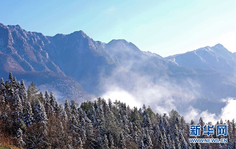 武陵山腹地邂逅雲海雪原