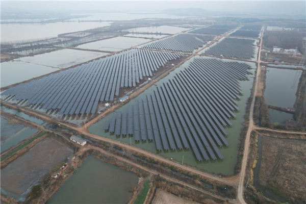 中南電力總承包黃石陽新縣98兆瓦漁光互補項目啟動_fororder_圖片1