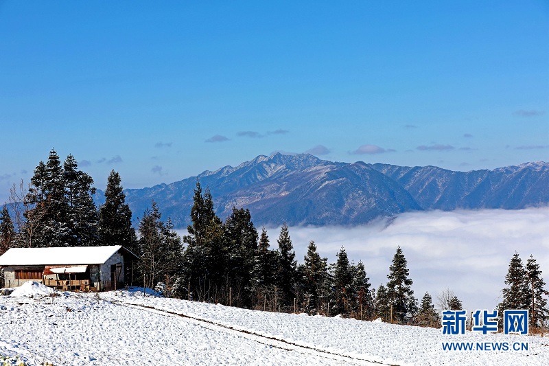 武陵山腹地邂逅雲海雪原