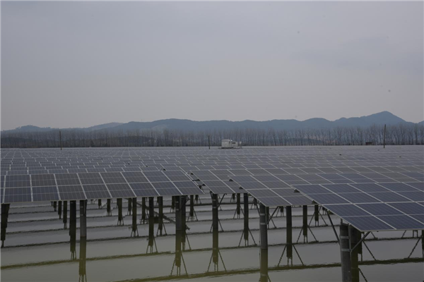 中南電力總承包黃石陽新縣98兆瓦漁光互補項目啟動_fororder_圖片2