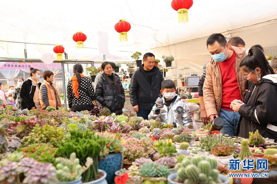武漢花博園第六屆迎春花市舉行