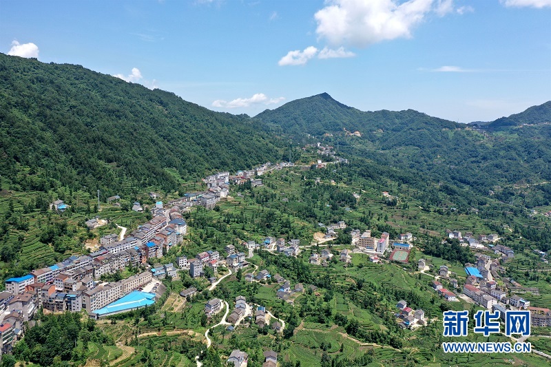 航拍三峽茶旅小鎮：芳容初現美如畫