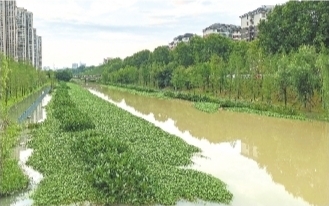 武漢不少老漬水點是怎麼消失的