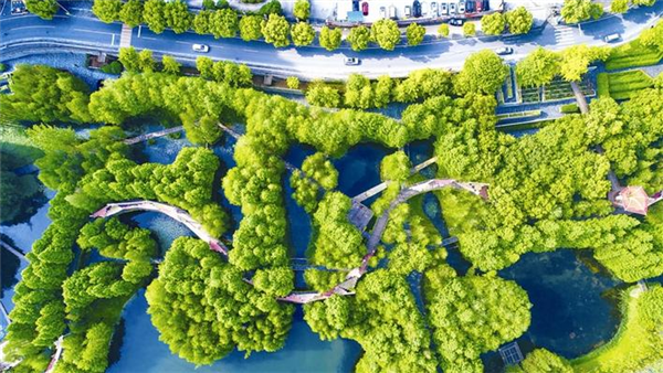 潤城細無聲 宜昌系統化全域建設海綿城市_fororder_02
