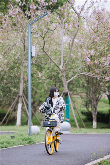武漢經開區萬家湖入選武漢首批“美麗河湖”_fororder_圖片2