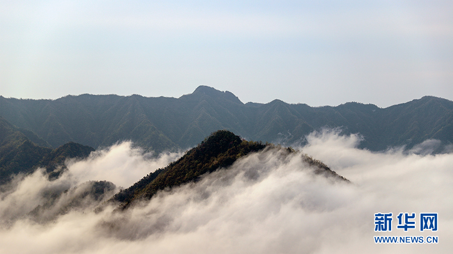 鄂西雲海 水墨畫卷