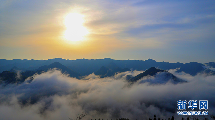 鄂西雲海 水墨畫卷