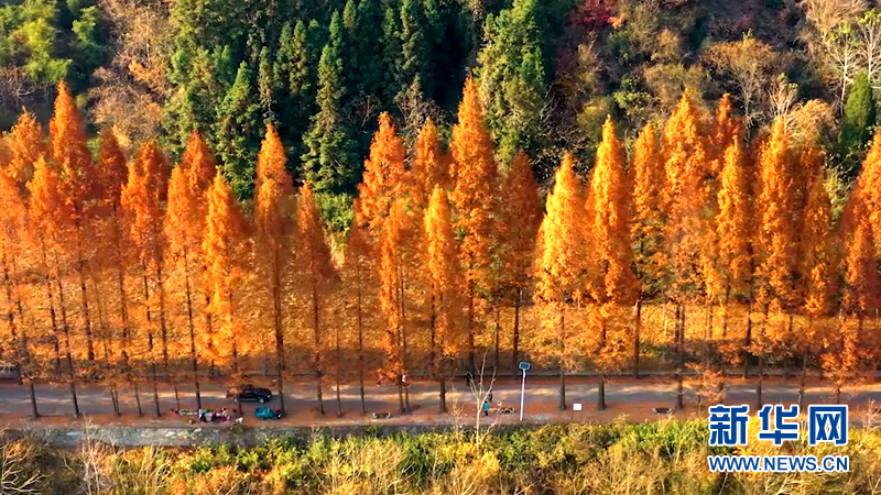 湖北茅箭：山美民富 城市後花園的蝶變之路