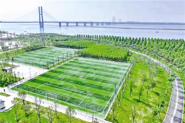 “宜荊荊恩”四地聯動治理 長江岸線共此青綠_fororder_03