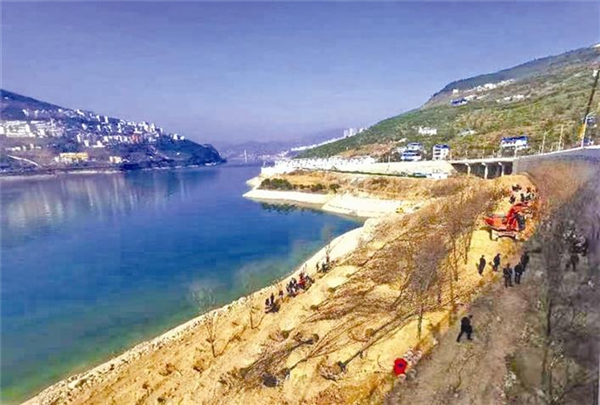 “宜荊荊恩”四地聯動治理 長江岸線共此青綠_fororder_04