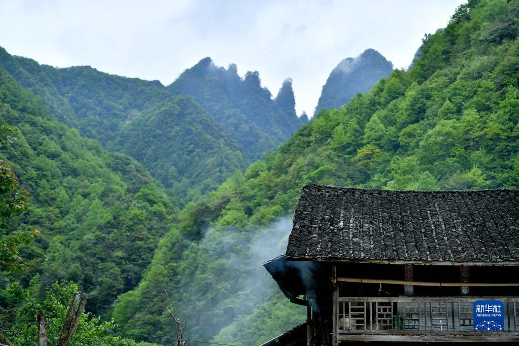 探訪湖北七姊妹山國家級自然保護區