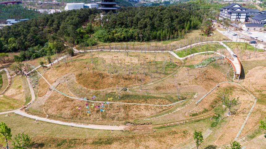 湖北荊門：生態修復造就園林盛景