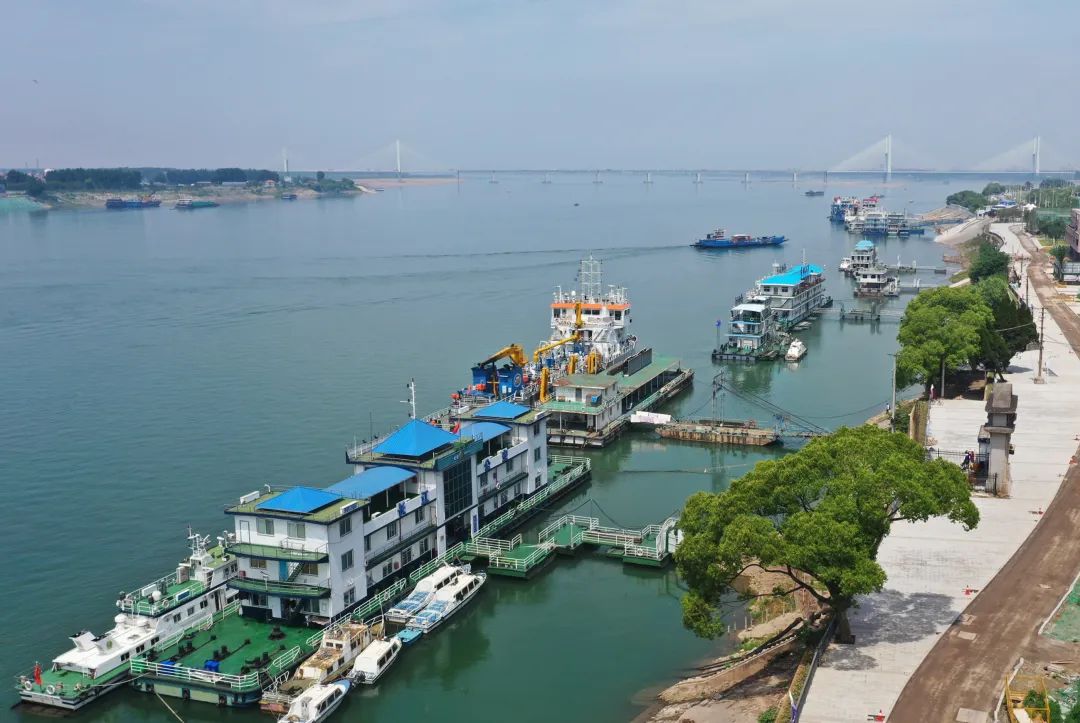 【巍巍三峽】全球“燈塔工廠”為何建在這裡?