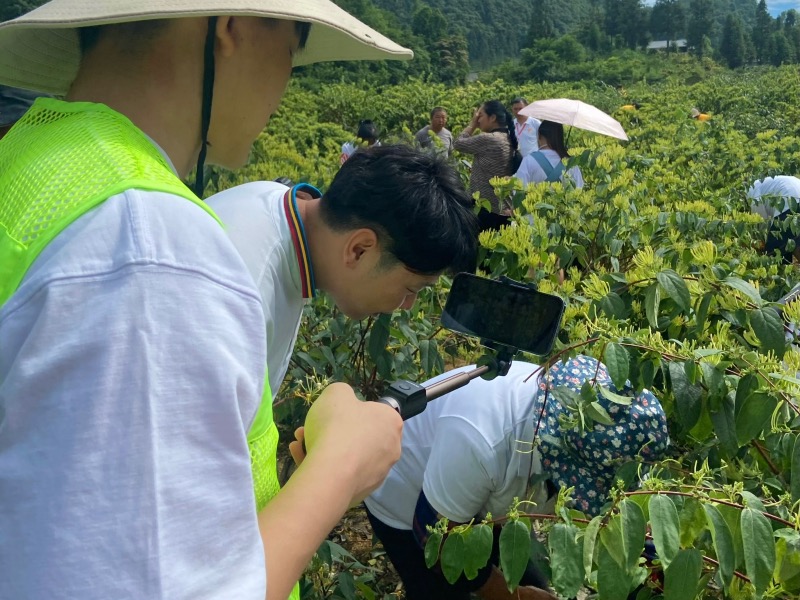 高校暑期實踐隊直播助力鄉村旅遊