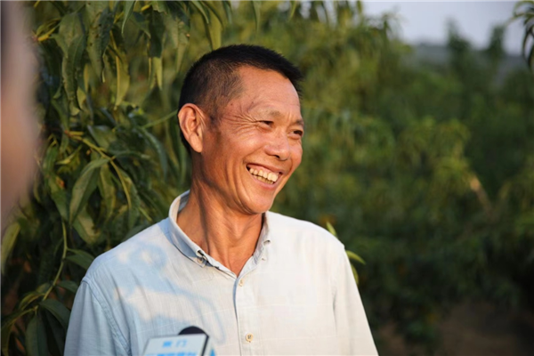湖北荊門漳河鎮：香山黃桃成致富“金果”_fororder_圖片4