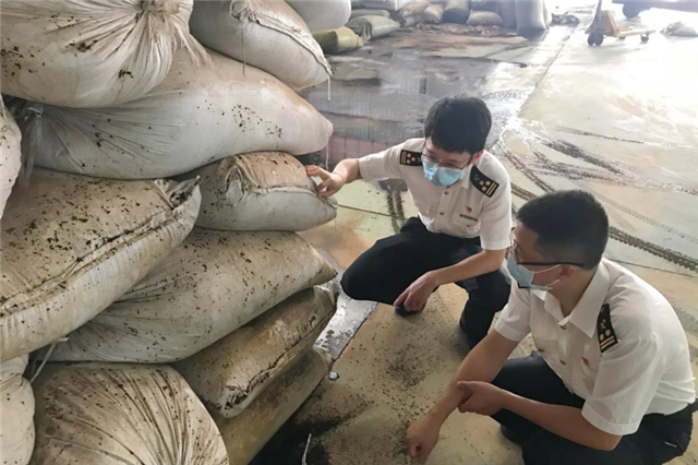 【B】洪水過後 恩施海關幫助受災茶企減損復産