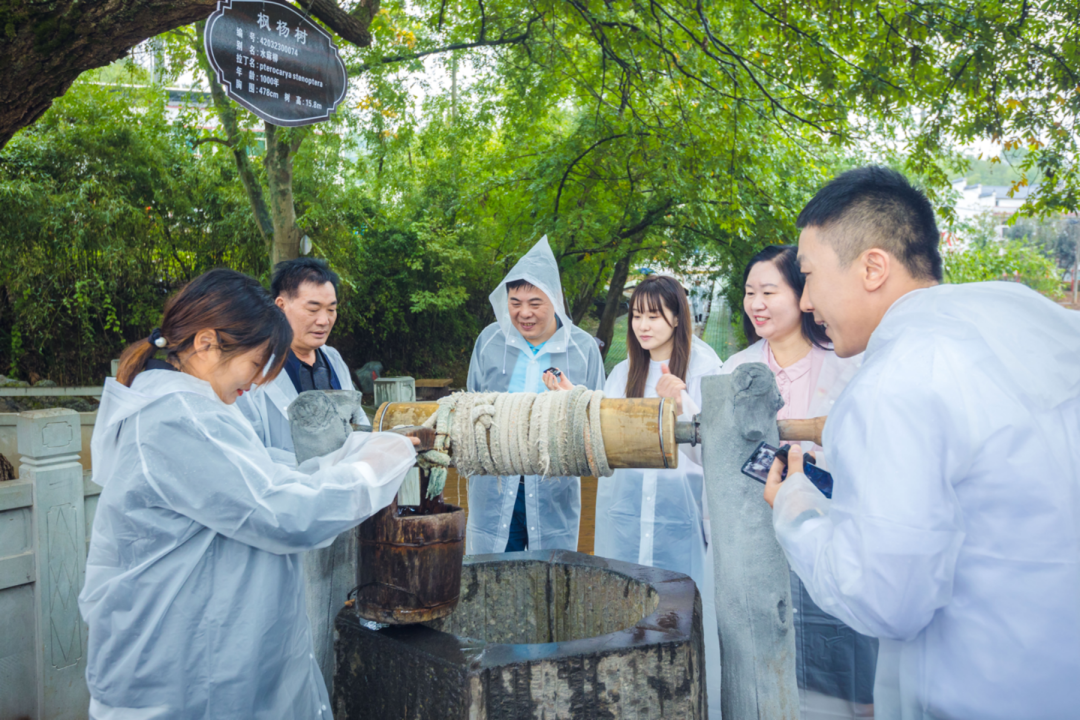 雙龍匯聚·共富茶香——十堰龍井村來了龍井人