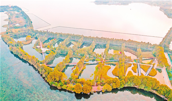 東湖華僑城生態濕地公園秋意濃_fororder_01