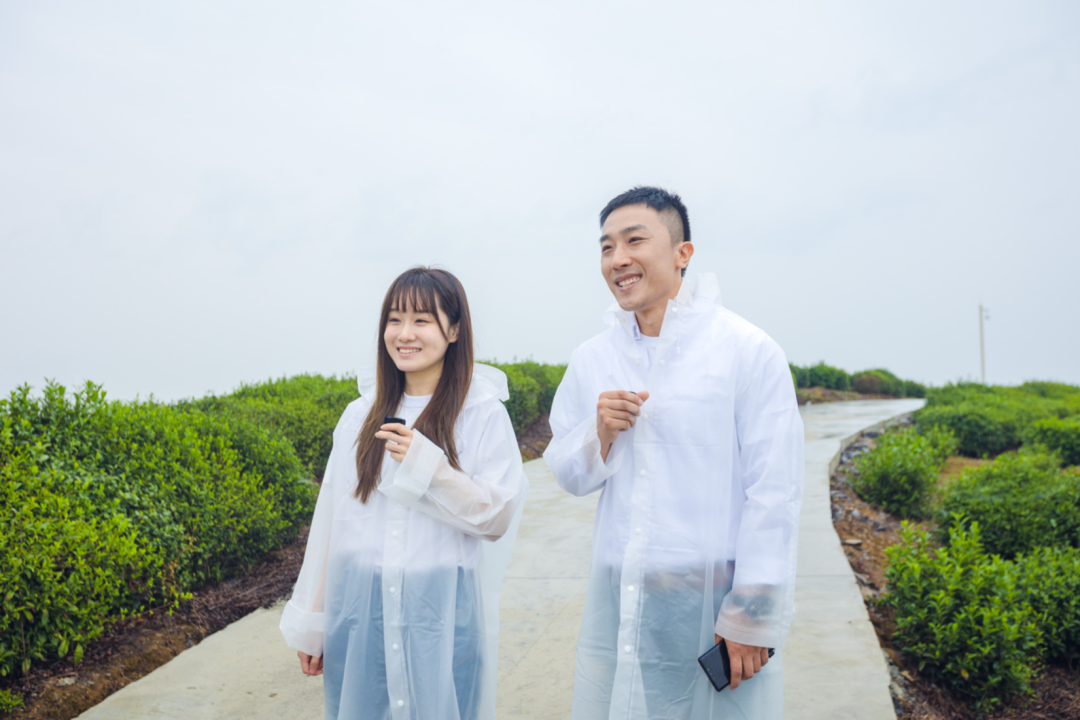 雙龍匯聚·共富茶香——十堰龍井村來了龍井人