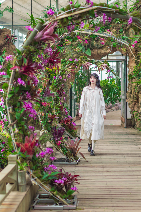 武漢植物園2023年熱帶蘭展開幕_fororder_圖片1