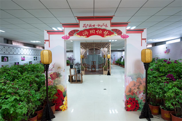 武漢植物園新春牡丹展喜迎新年_fororder_圖片4
