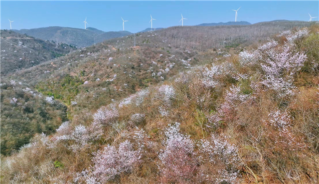 湖北荊門：春約東寶山水間 古道秘境受熱捧_fororder_圖片1
