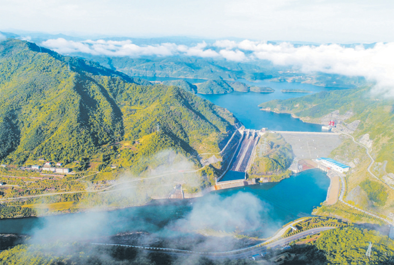 湖北竹山：全域試點建設森林康養