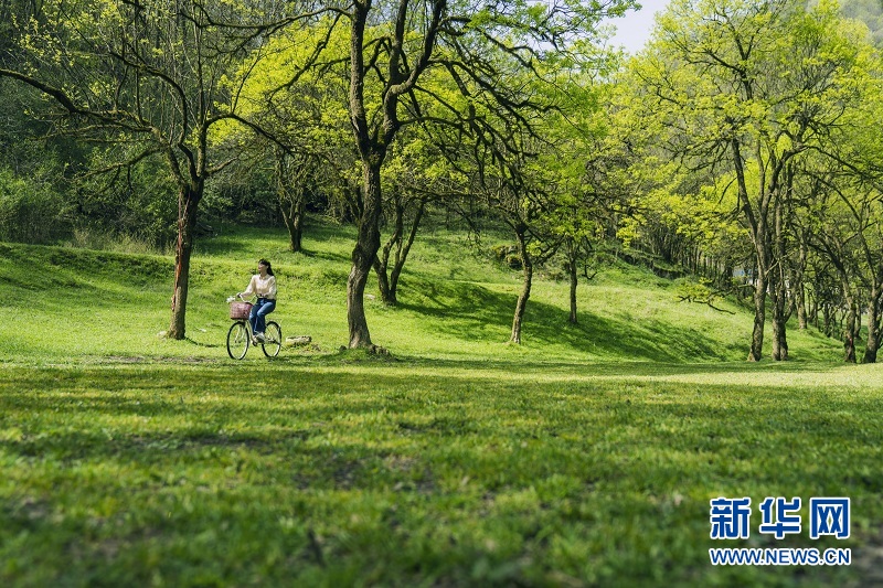 湖北恩施州：深山濕地 生態如畫